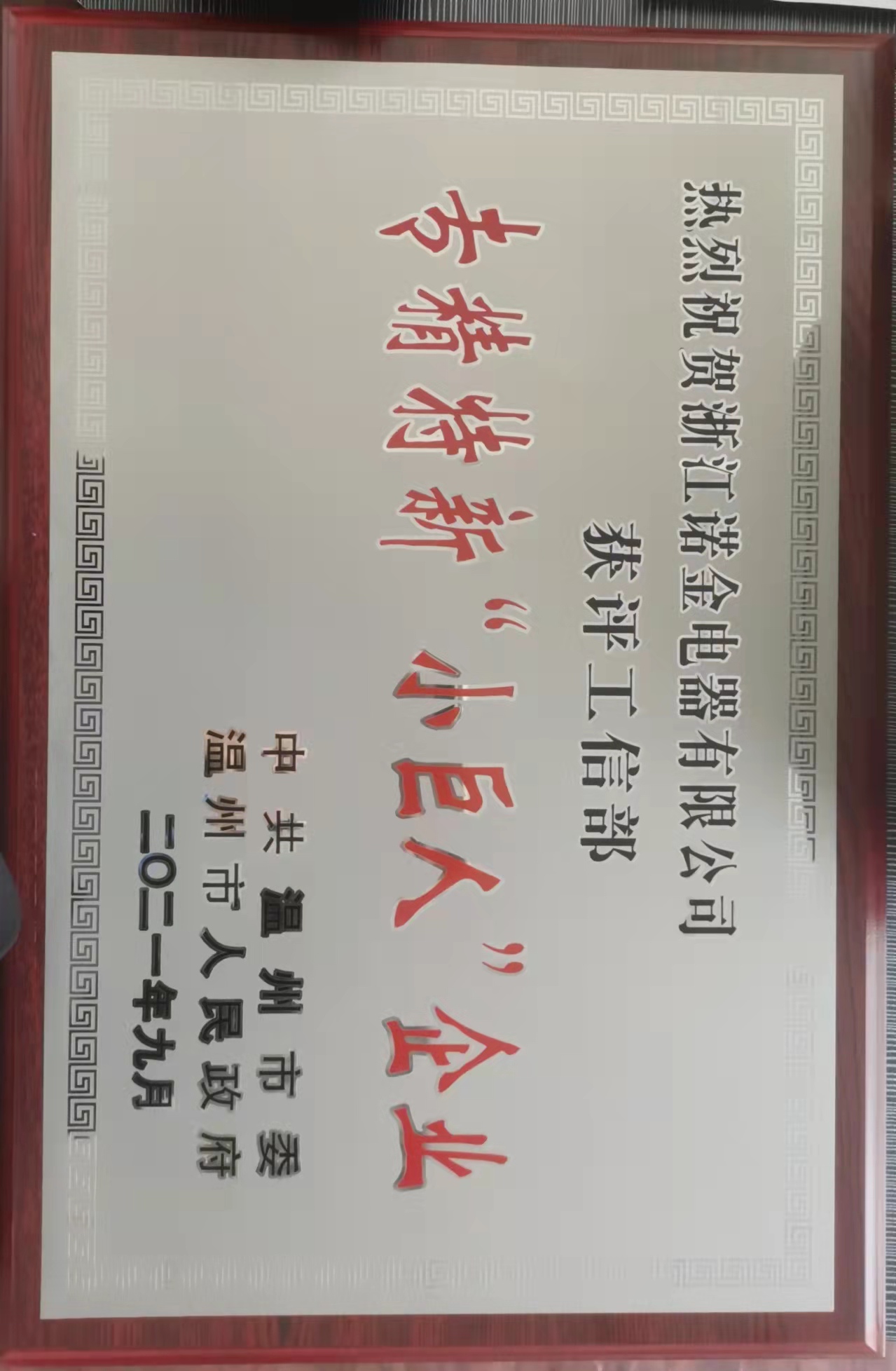 2021年度獲得專精特新小巨人企業