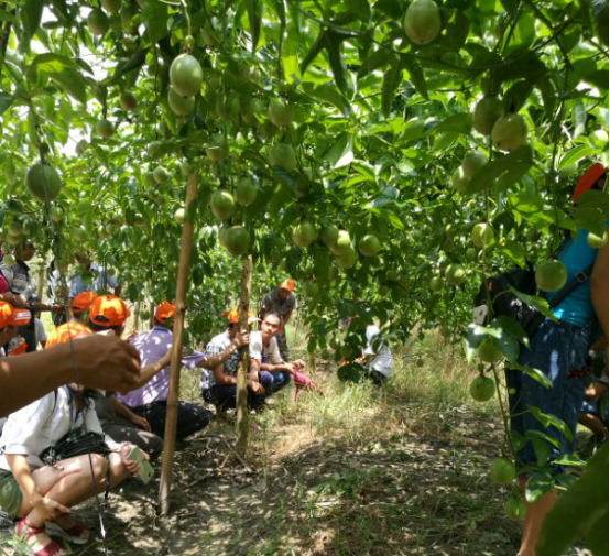 1513319309533304Pr0k.png blob.png