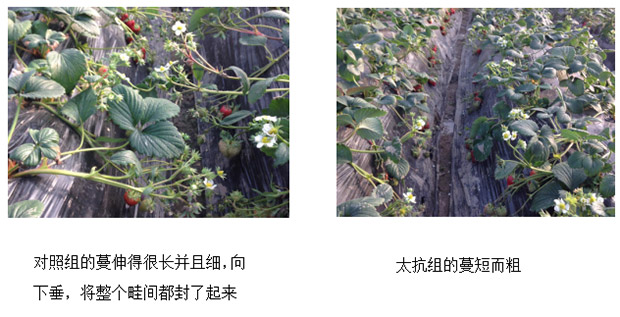 1513326194601056mTb4.jpg TIM截圖20171215161040.jpg