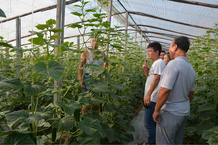 1513331107498883X0Uv.jpg 圖片98.jpg