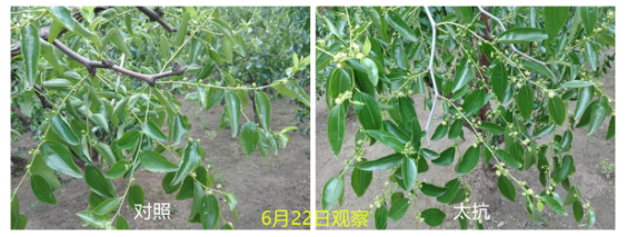 15133340161339261zs6.png blob.png