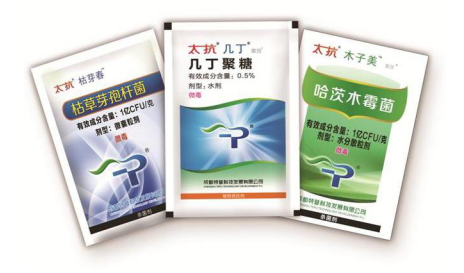 1515668119919237qwXm.png blob.png