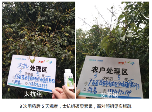 15312136517776312qKx.png 圖片5.png