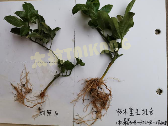 15765426128086720kHD.png 圖片1_副本.png