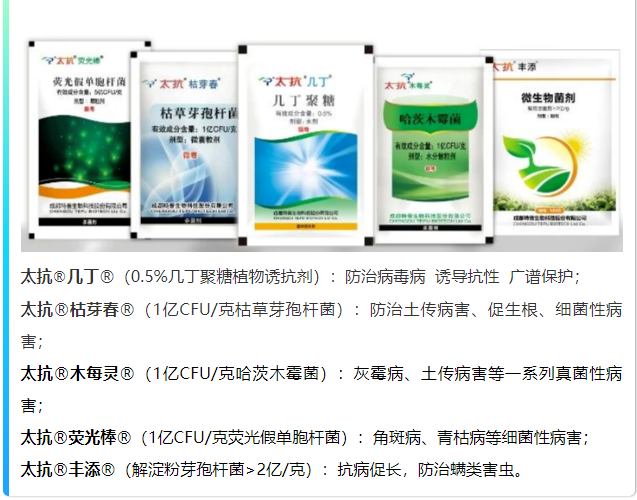 1610505868586131RfBJ.png blob.png